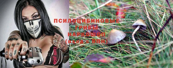 прущая мука Каменногорск