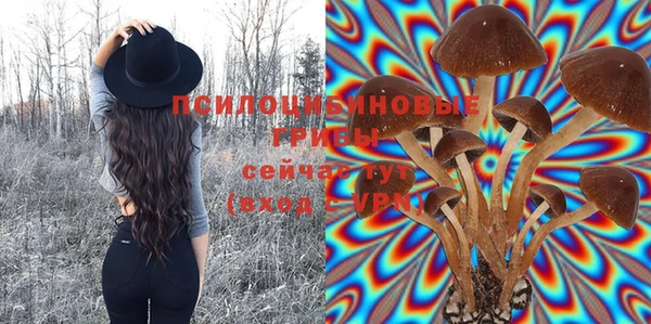 кокс Каменка